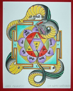 om namo naryanan