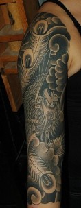 dana helmuth phoenix sleeve